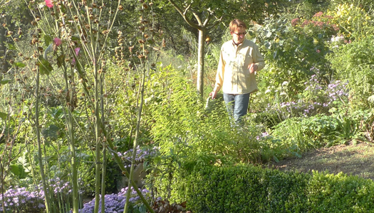 Kruidenatelier Filiamosa Kruidenatelier Filiamosa – In de tuin van Filiamosa worden kruiden, groenten en eetbare bloemen vers geplukt en verwerkt tijdens workshops en cursussen. Zowel voor medicinale doeleinden, keukengebruik en in huidverzorgende producten. Ook leer je er hoe je zelf een eetbare tuin opzet; van zaadje tot op je bord.