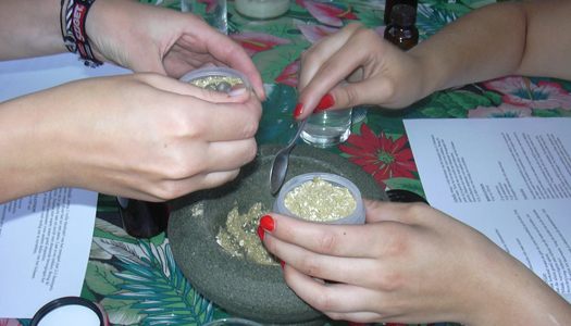 Kruidenatelier Filiamosa Kruidenatelier Filiamosa – In de tuin van Filiamosa worden kruiden, groenten en eetbare bloemen vers geplukt en verwerkt tijdens workshops en cursussen. Zowel voor medicinale doeleinden, keukengebruik en in huidverzorgende producten. Ook leer je er hoe je zelf een eetbare tuin opzet; van zaadje tot op je bord.
