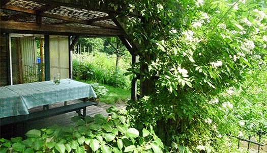 Kruidenatelier Filiamosa Kruidenatelier Filiamosa verwerkt de eetbare tuin op speciale wijze